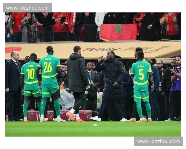 塞内加尔马内核心作用 身体天赋结合战术纪律严明